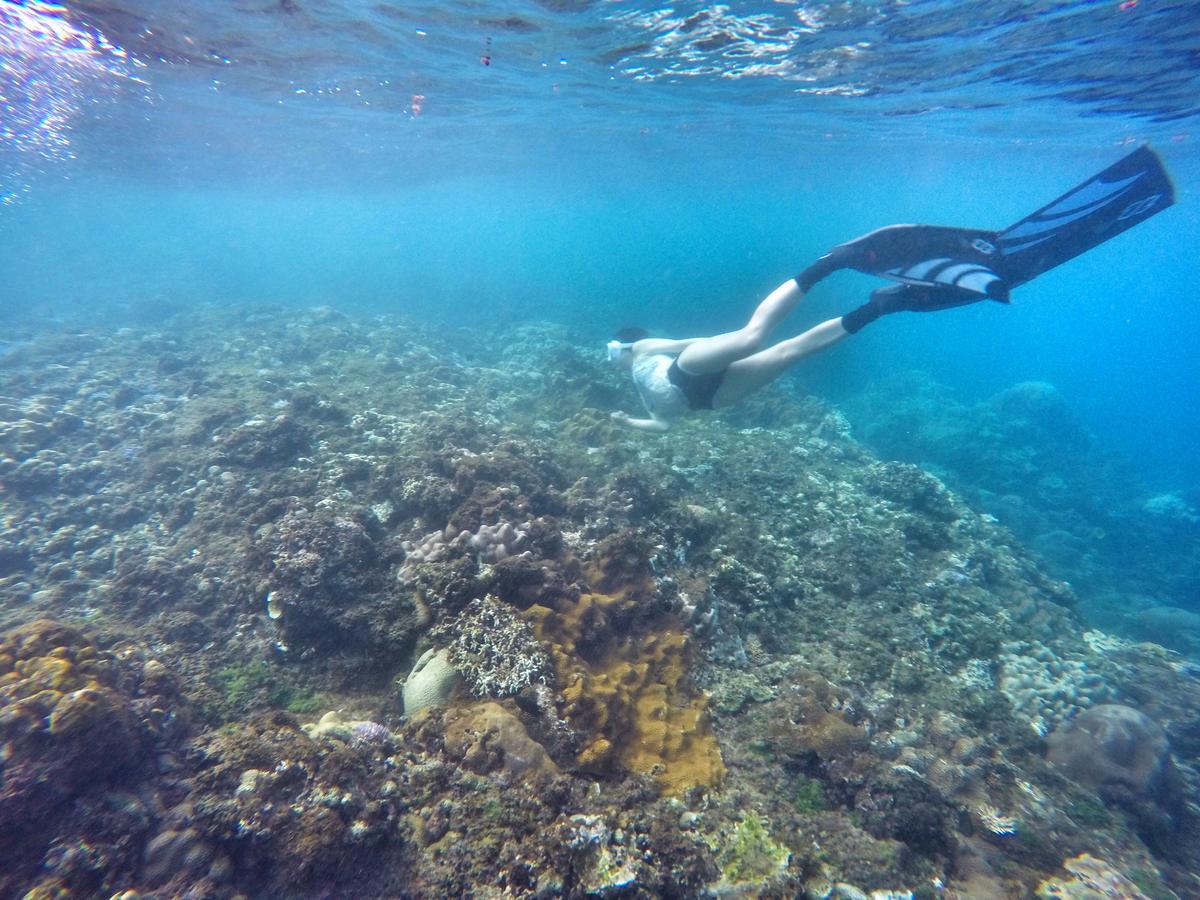 Imanuel Surfing B&B Heng-ch'un Dış mekan fotoğraf